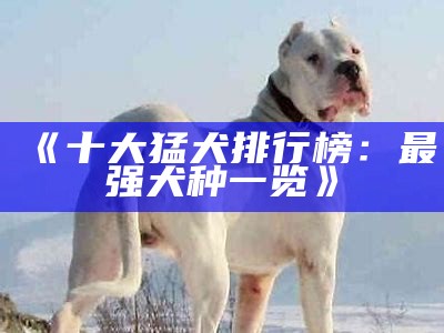 《十大猛犬排行榜：最强犬种一览》