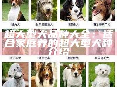 超大型犬品种大全：适合家庭养的超大型犬种介绍