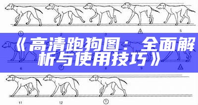 《高清跑狗图：全面解析与使用技巧》