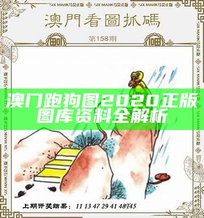 澳门跑狗图5043的深度解析与解读