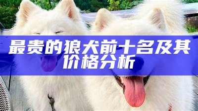 最贵的狼犬前十名及其价格分析