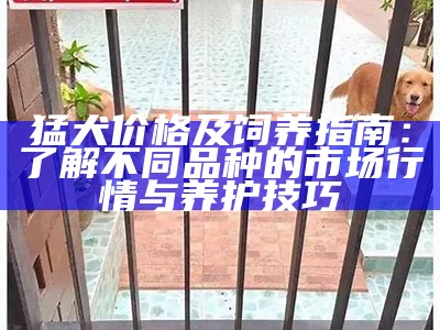 猛犬价格及饲养指南：了解不同品种的市场行情与养护技巧