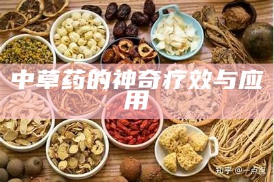 中草药的神奇疗效与应用