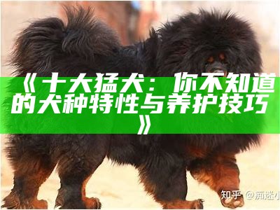 《十大猛犬：你不知道的犬种特性与养护技巧》